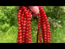 Charger et lire la vidéo dans la visionneuse de la Galerie, Perles en cornaline / agate rouge entre 4 et 14mm CAT