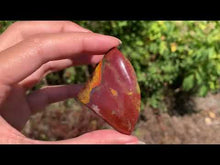 Charger et lire la vidéo dans la visionneuse de la Galerie, Jaspe héliotrope 11
