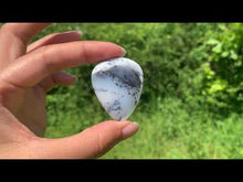 Charger et lire la vidéo dans la visionneuse de la Galerie, VENDU Agate dendritique 54