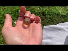 Charger et lire la vidéo dans la visionneuse de la Galerie, Citrine brut 49