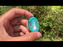 Charger et lire la vidéo dans la visionneuse de la Galerie, Chrysocolle 8