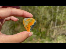 Charger et lire la vidéo dans la visionneuse de la Galerie, Jaspe Bumblebee 39