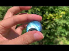 Charger et lire la vidéo dans la visionneuse de la Galerie, VENDU Labradorite 273