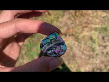 Charger et lire la vidéo dans la visionneuse de la Galerie, VENDU Abalone 49