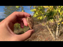 Charger et lire la vidéo dans la visionneuse de la Galerie, Calcite 23