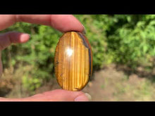 Charger et lire la vidéo dans la visionneuse de la Galerie, Oeil de tigre 33