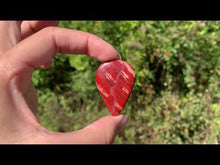 Charger et lire la vidéo dans la visionneuse de la Galerie, Jaspe peau de serpent 16