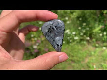 Charger et lire la vidéo dans la visionneuse de la Galerie, Larvikite 31