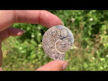 Charger et lire la vidéo dans la visionneuse de la Galerie, Ammonite 26