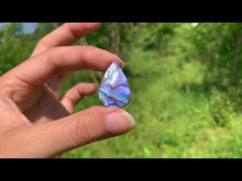 Charger et lire la vidéo dans la visionneuse de la Galerie, Abalone 77