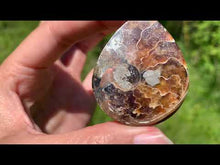 Charger et lire la vidéo dans la visionneuse de la Galerie, Ammonite de Madagascar 1