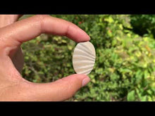 Charger et lire la vidéo dans la visionneuse de la Galerie, Silex 2