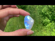 Charger et lire la vidéo dans la visionneuse de la Galerie, Labradorite "blanche" d'Inde 11