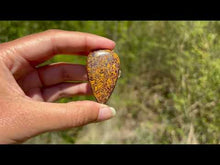 Charger et lire la vidéo dans la visionneuse de la Galerie, Jaspe Mariam 23