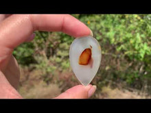 Charger et lire la vidéo dans la visionneuse de la Galerie, Agate du Montana 4