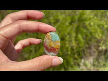 Charger et lire la vidéo dans la visionneuse de la Galerie, Jaspe Océan 11