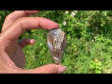 Charger et lire la vidéo dans la visionneuse de la Galerie, Agate sagénitique 13