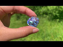 Charger et lire la vidéo dans la visionneuse de la Galerie, VENDU Abalone 79