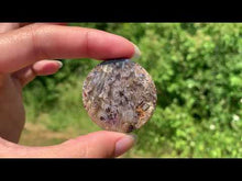 Charger et lire la vidéo dans la visionneuse de la Galerie, Agate sagénitique 26