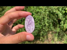 Charger et lire la vidéo dans la visionneuse de la Galerie, Kammererite 19