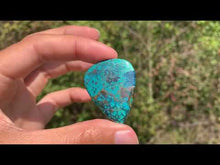 Charger et lire la vidéo dans la visionneuse de la Galerie, Chrysocolle 2