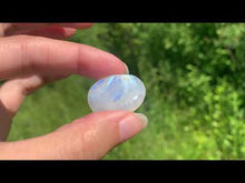 Charger et lire la vidéo dans la visionneuse de la Galerie, Labradorite "blanche" d'Inde 5