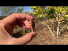 Charger et lire la vidéo dans la visionneuse de la Galerie, VENDU Calcite 24