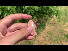 Charger et lire la vidéo dans la visionneuse de la Galerie, Microcline 27