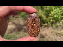 Charger et lire la vidéo dans la visionneuse de la Galerie, Bronzite 21