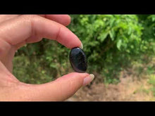 Charger et lire la vidéo dans la visionneuse de la Galerie, Oeil de faucon 14