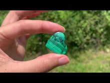 Charger et lire la vidéo dans la visionneuse de la Galerie, Malachite 103