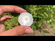 Charger et lire la vidéo dans la visionneuse de la Galerie, Quartz solaire brut 6