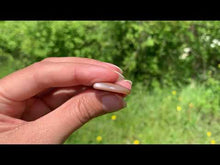 Charger et lire la vidéo dans la visionneuse de la Galerie, Pierre de soleil 43