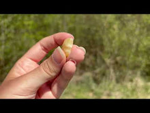 Charger et lire la vidéo dans la visionneuse de la Galerie, Calcite jaune 2