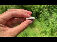 Charger et lire la vidéo dans la visionneuse de la Galerie, VENDU Agate dendritique 40