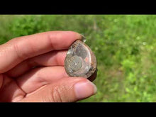 Charger et lire la vidéo dans la visionneuse de la Galerie, Ammonite de Madagascar 13