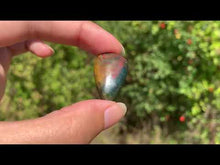 Charger et lire la vidéo dans la visionneuse de la Galerie, Jaspe héliotrope 25