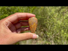 Charger et lire la vidéo dans la visionneuse de la Galerie, Jaspe Mariam 22