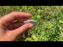 Charger et lire la vidéo dans la visionneuse de la Galerie, Variscite 2