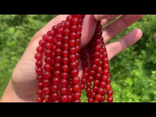 Charger et lire la vidéo dans la visionneuse de la Galerie, Perles en cornaline / agate rouge entre 4 et 14mm CAD
