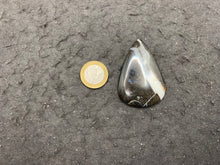 Charger l'image dans la galerie, Ammonite noire 3