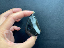 Charger l'image dans la galerie, Ammonite noire 3