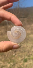Charger l'image dans la galerie, VENDU Ammonite 4