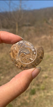 Charger l'image dans la galerie, VENDU Ammonite 5