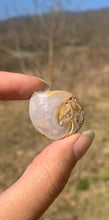 Charger l'image dans la galerie, VENDU Ammonite 10