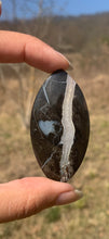 Charger l'image dans la galerie, VENDU Ammonite noire 6