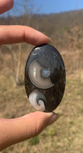 Charger l'image dans la galerie, VENDU Ammonite noire 8