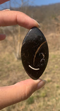 Charger l'image dans la galerie, VENDU Ammonite noire 9