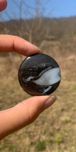 Charger l'image dans la galerie, VENDU Ammonite noire 12