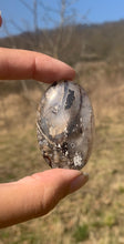 Charger l'image dans la galerie, Ammonite noire 15